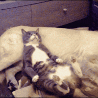 Cuando estas relajado