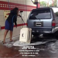 Lavando al perro