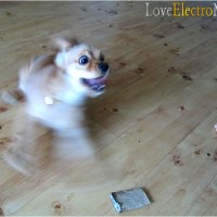 electro