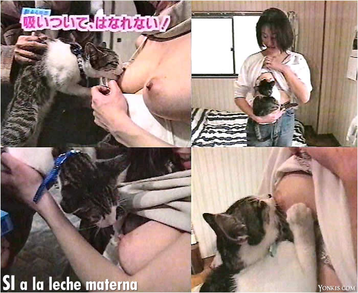 Breastfeeding Cat Porn.