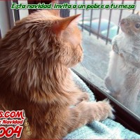 pobre