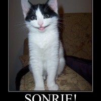 sonrie