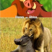 disney
