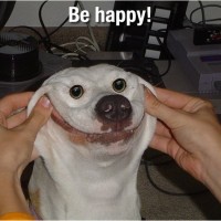 Don´t worry be happy