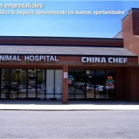 consejo