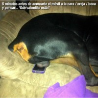 iPhone calentito