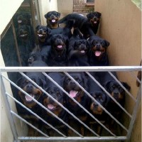 He cambiado la alarma de casa