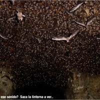 ¿Qué es ese sonido? Saca la linterna a ver..