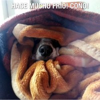 Previsión del tiempo