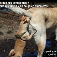 No caigo en quién eres..