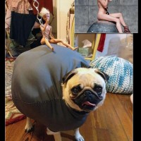 Disfraz perruno de Miley Cyrus