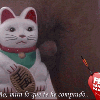 Mira lo que te he comprado por San Valentín