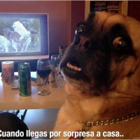 Cuando llegas por sorpresa a casa