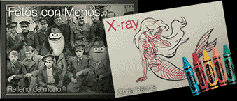 mono xray