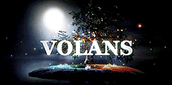 volans