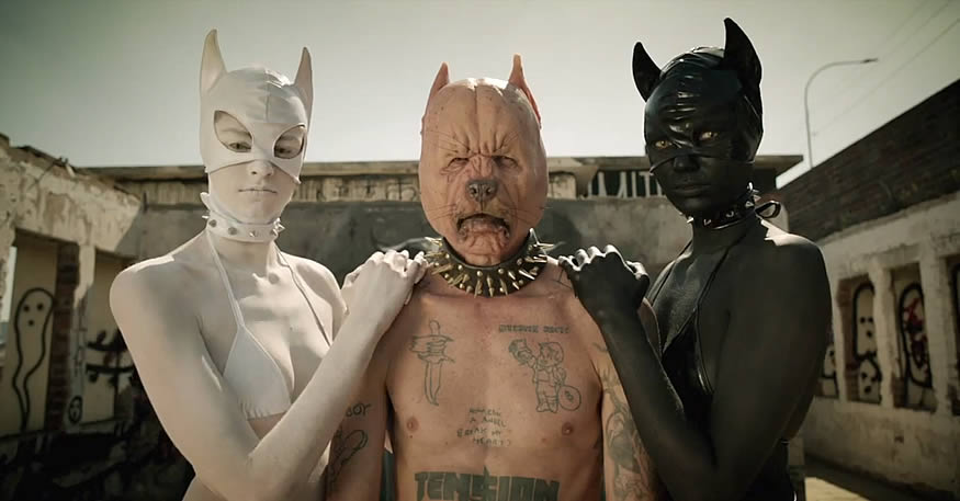 Die Antwoord - Pitbull Terrier