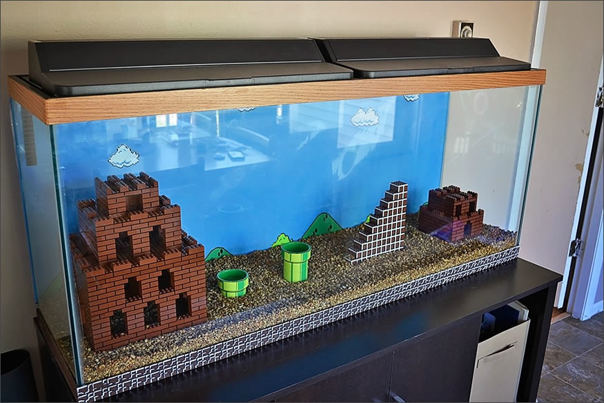 acuario de Mario Bros