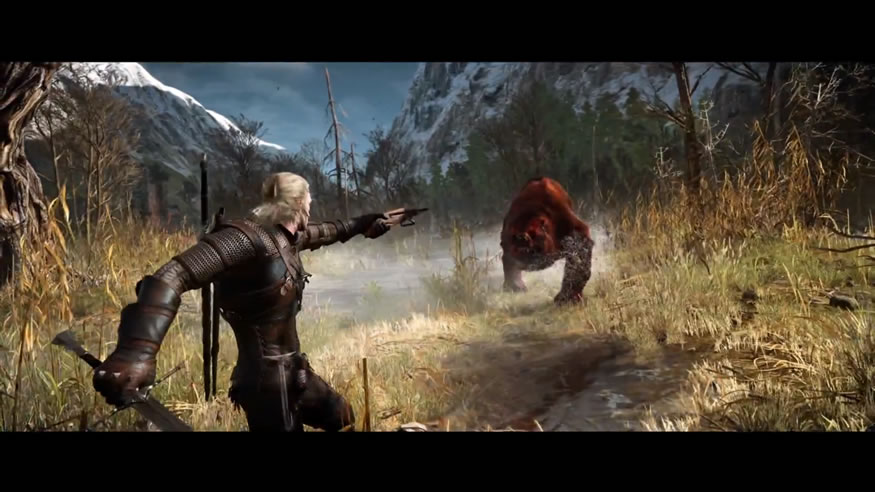 the-witcher310.55.12