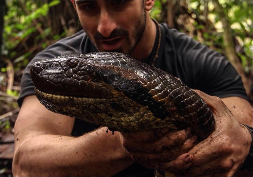 Se deja comer vivo por una anaconda