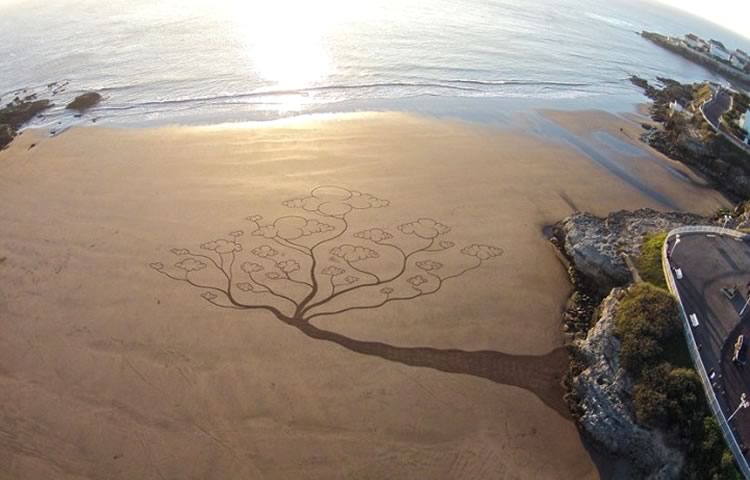 arbol-playa