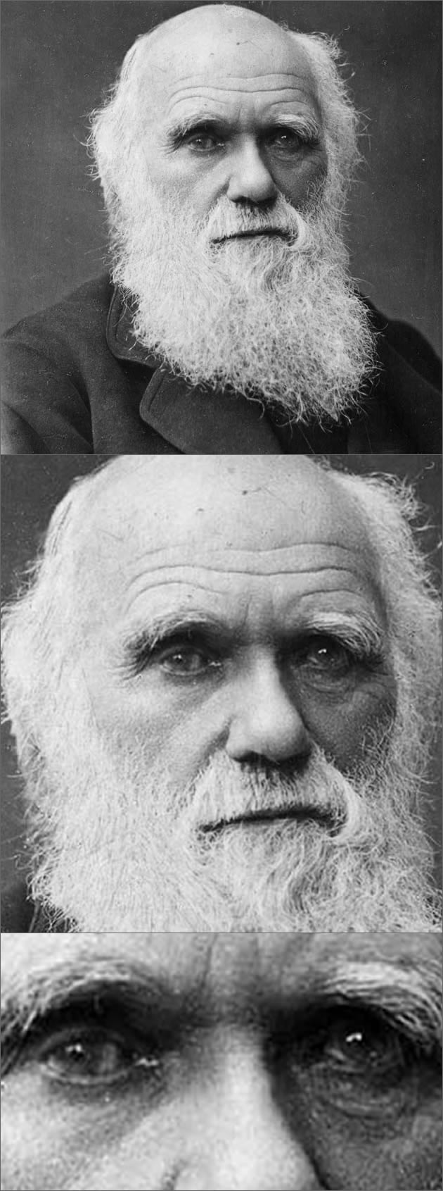 darwin