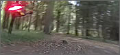 Carrera de drones en el bosque