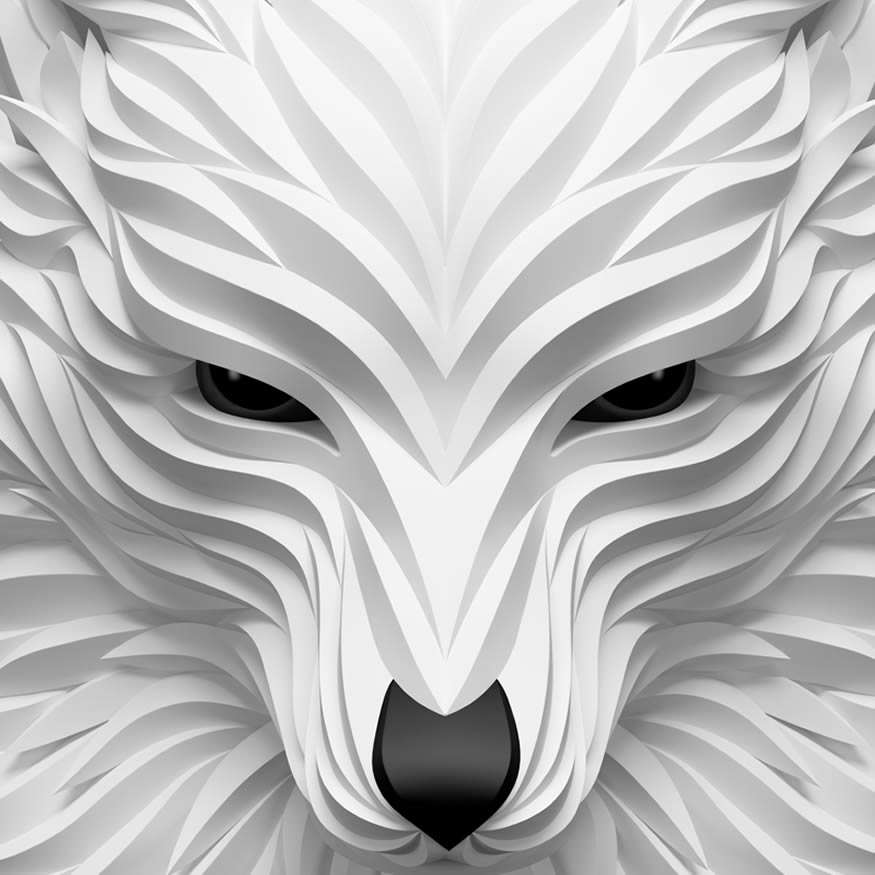 ilustra-lobo-white