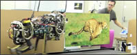 robot Cheetah