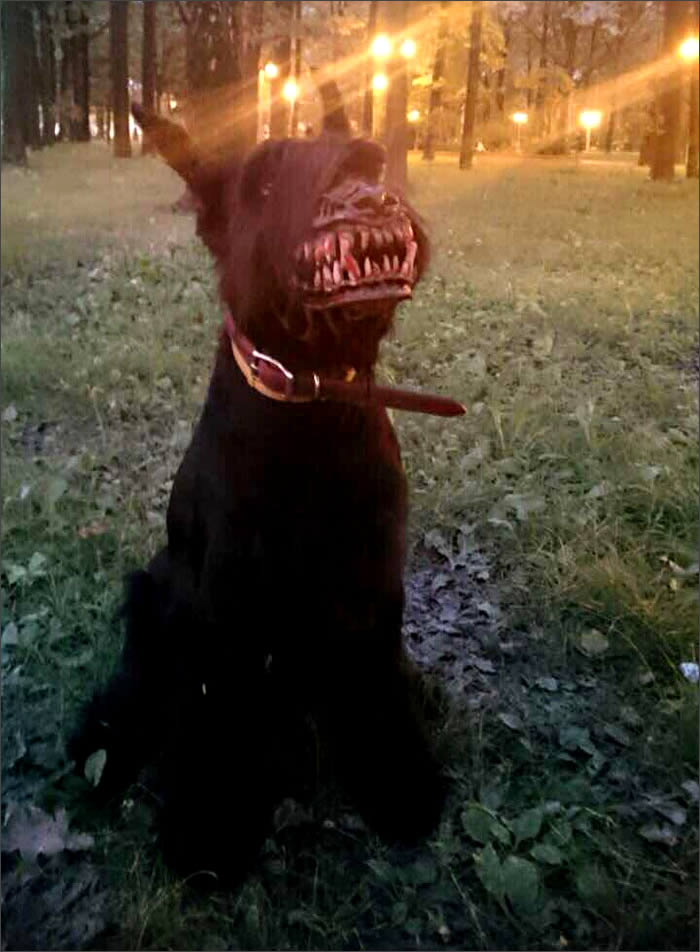 dientes-perrunos