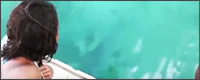 delfin-devuelve-movil