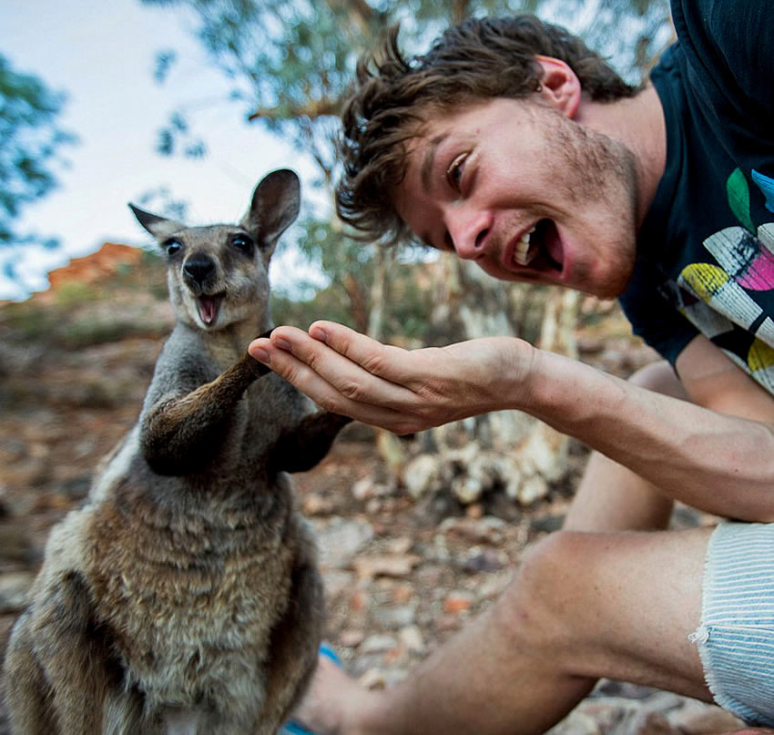 selfie-canguro