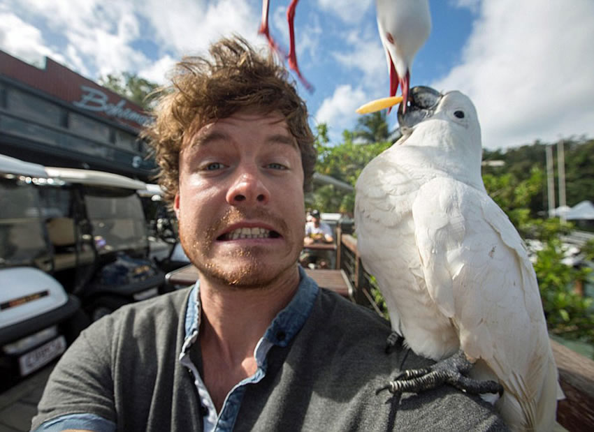 selfie-pajaro