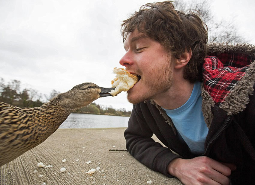 selfie-pato