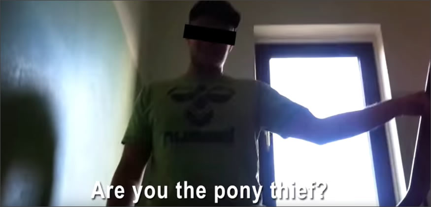 ponythief