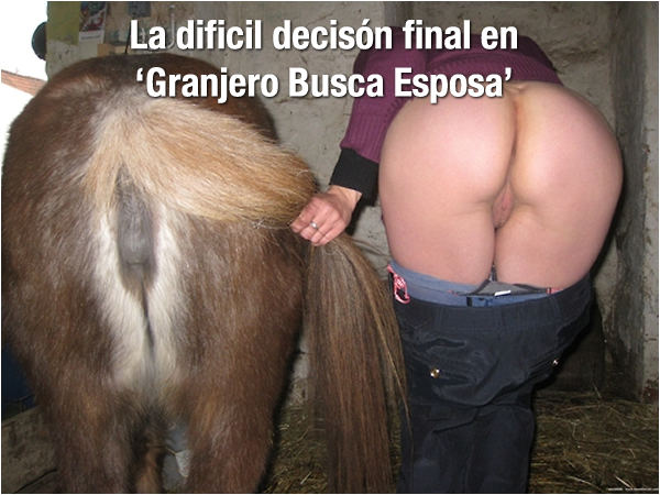 final-granjero-busca-esposa