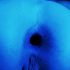 BlackHole