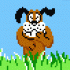 Duck Hunt