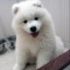 Fluffy