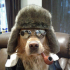 _MurDOG_
