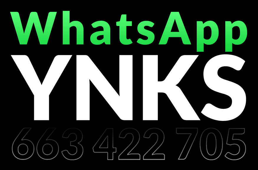 whatsapp-ynks-1