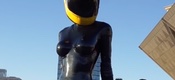 celty-t