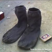 Calcetines con vida propia