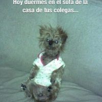 Dormir con bebés
