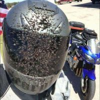 Lo malo de los paseos en moto en Verano